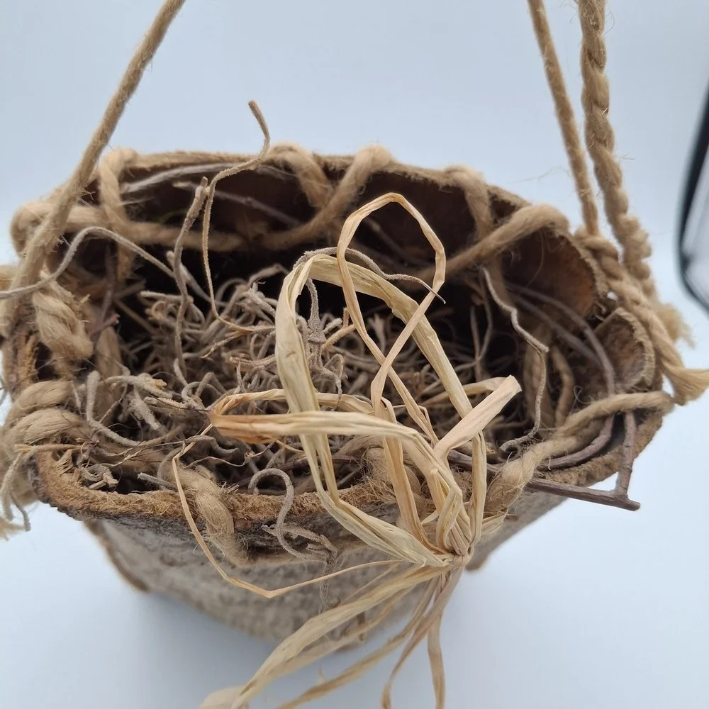 Vintage Wood Bark‎ Berry Basket (Appalachian?) Rustic Cabin Woods Decor Twigs 9